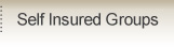 Self Insured Groups