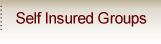 Self Insured Groups